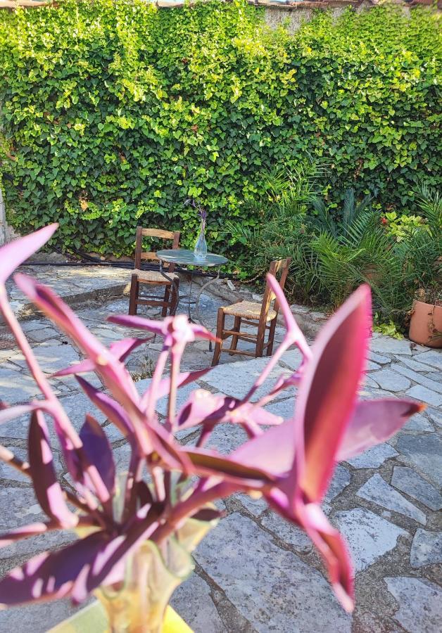 Liakoto Guest House Panayia ภายนอก รูปภาพ